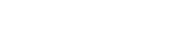 Nitrous Networks logo