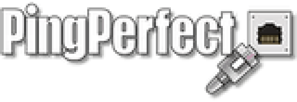 Ping Perfect server host logo